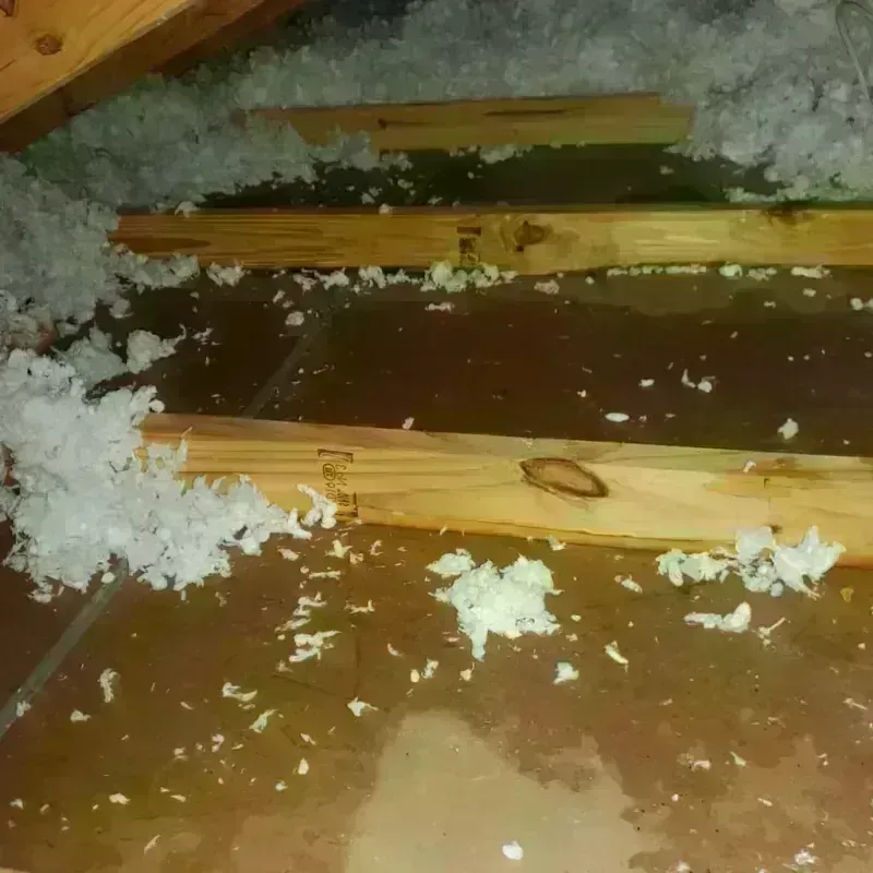 Attic Water Damage in Bushwick, NY